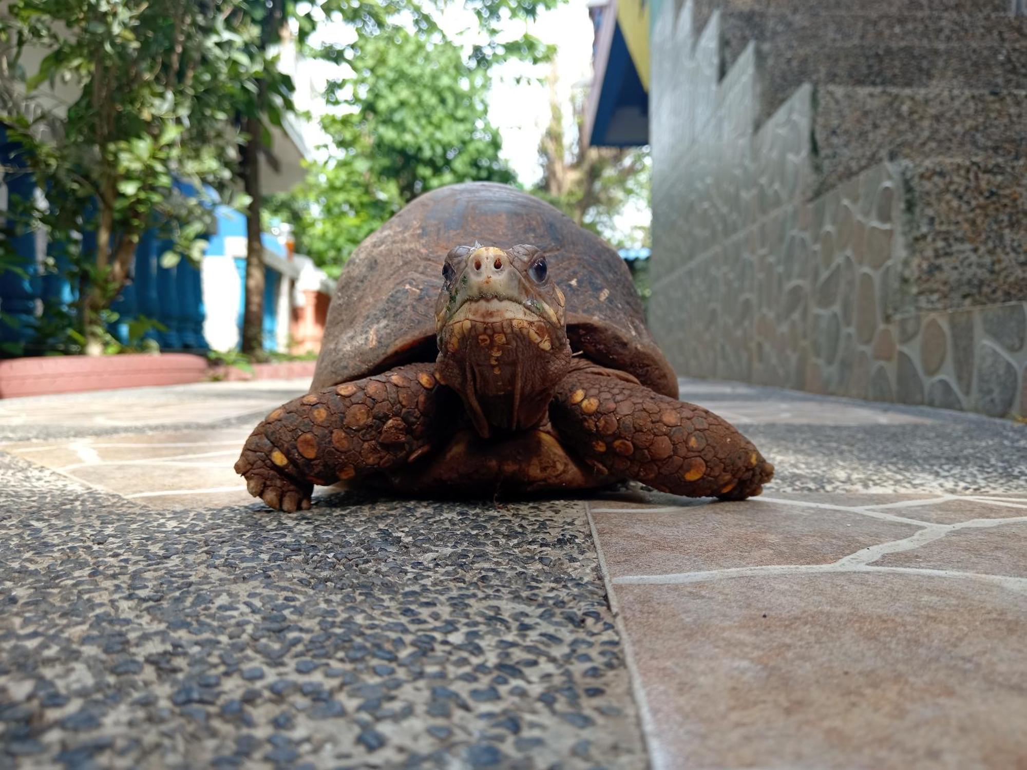 Hospedaje Turistico Angula Place San Andres  Exterior photo
